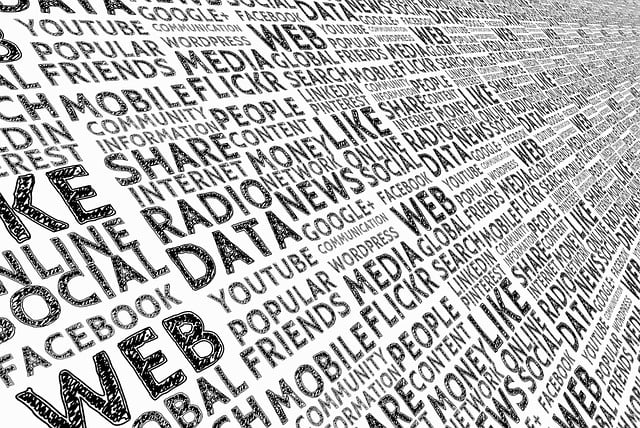 Choosing the Right Advertising Platform for Your Business: A Comprehensive Guide